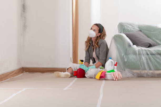 Reliable Hvac And Air Duct Mold Remediation contractor in Greensboro, NC by 24 Hour Mold Removal